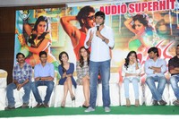 Joru Movie Audio Sucess Meet Photos